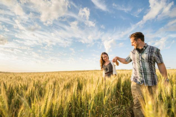 Two people holding hands walking through a wheat field during a summer day