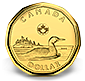 The Canadian loonie, featuring a common loon, a distinctive aquatic bird, on the reverse side, and Queen Elizabeth II on the obverse side.