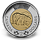 The Canadian toonie, depicting a polar bear on the outer ring and an image of Queen Elizabeth II on the inner core.