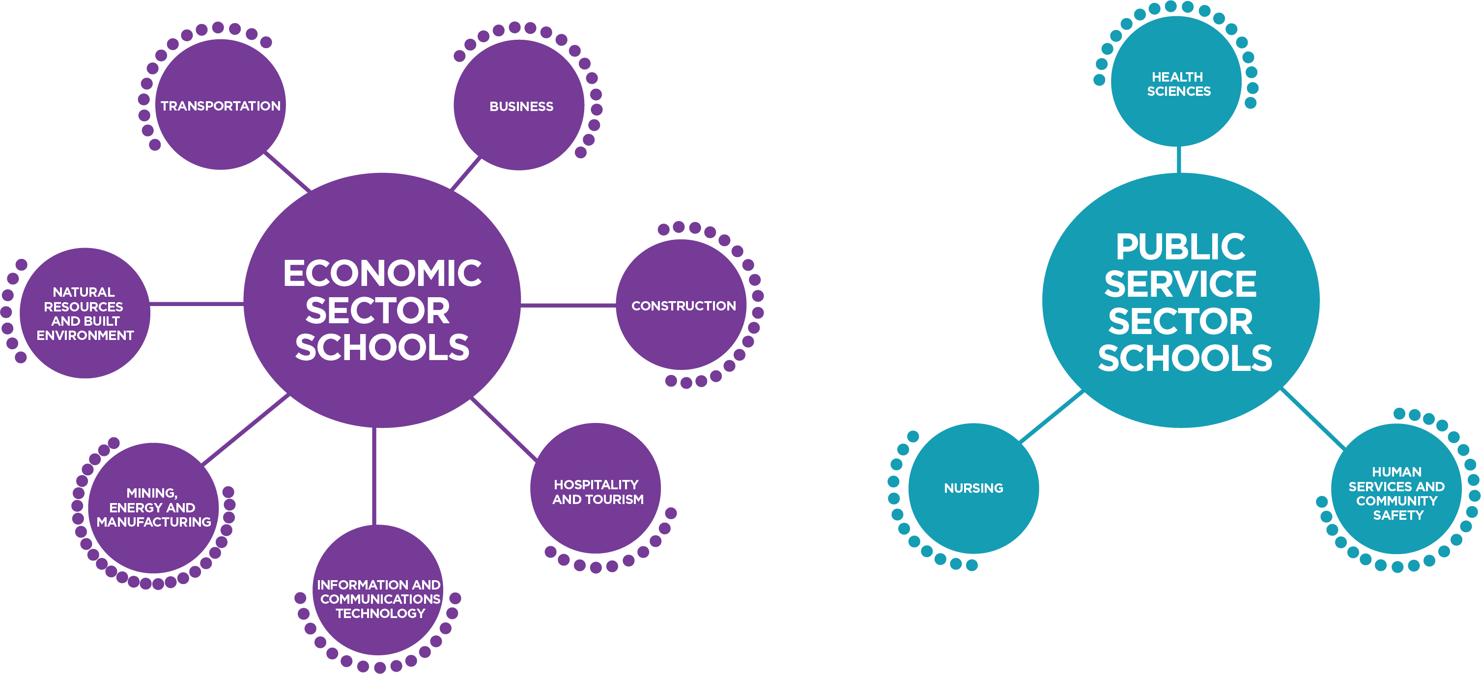 Purple and blue info graphic of schools model with each sector