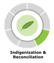 Indigenization