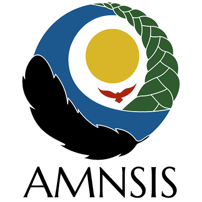 AMNSIS logo