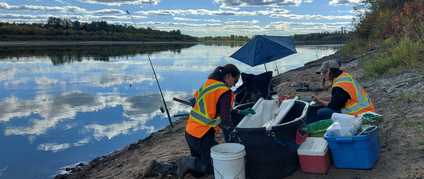 Researchers working on a beach