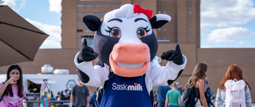 SaskMilk Cow on campus