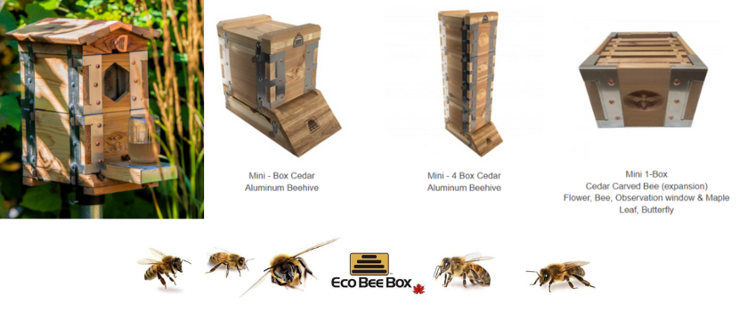 Eco bee box