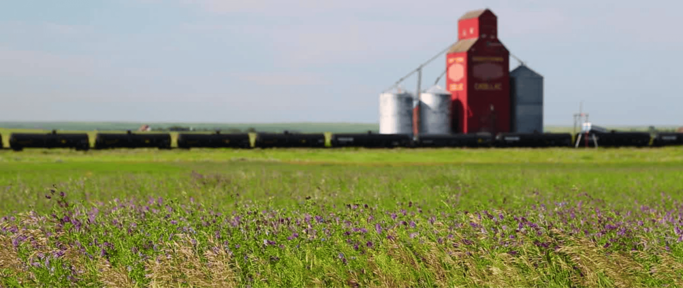 Image credit: Saskatchewan Polytechnic