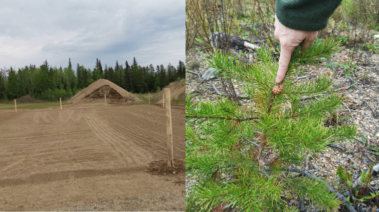 Image credit: Saskatchewan Polytechnic. Before and after photos.