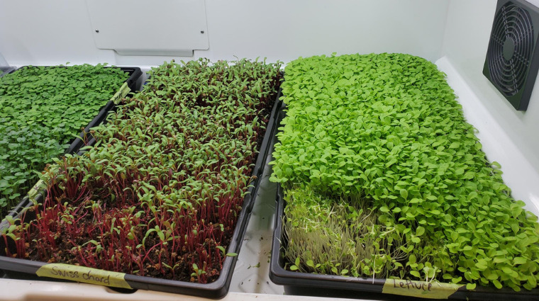 urban cultivator 