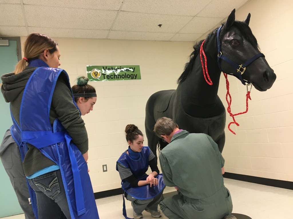The best tool for learning veterinary technologist skills is a horse; of course