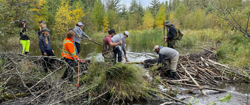 Working in the field