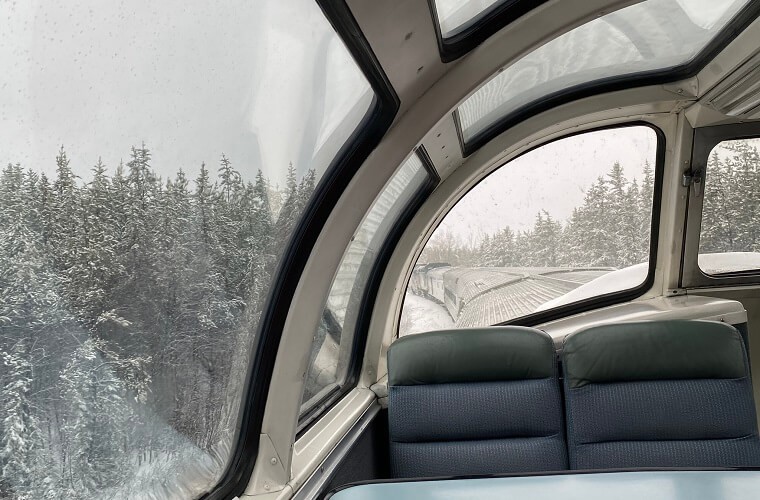 Polar Bear Eco Trip viewing car on the train