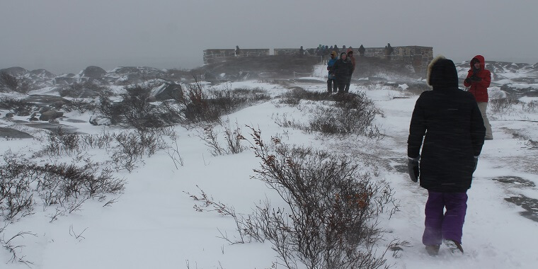 Polar Bear Eco Trip Fort Churchill