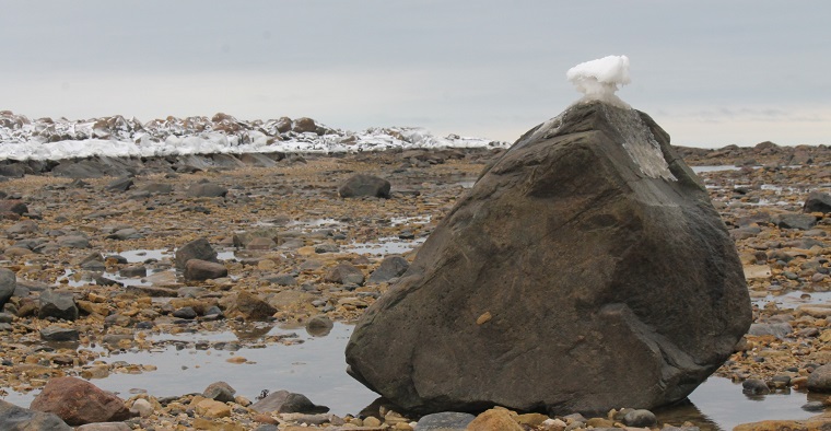 Polar Bear Eco Trip rock in bay