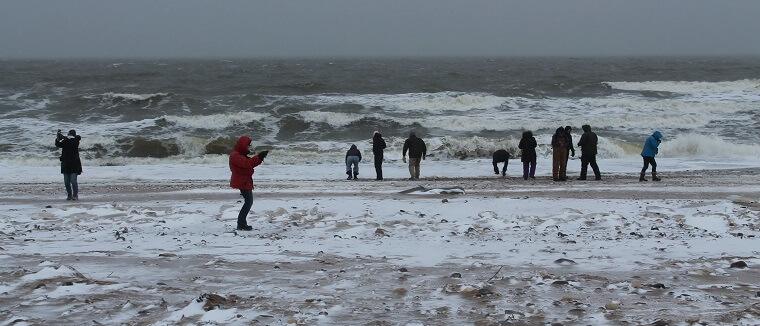 Polar Bear Eco Trip Cape Merry