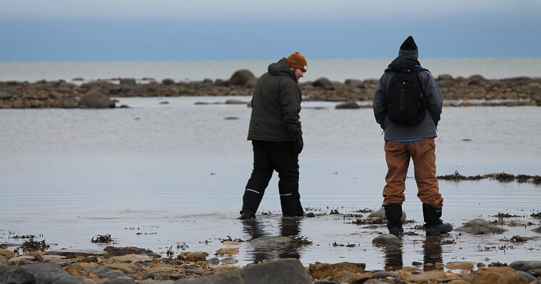 Polar Bear Eco Trip beach at Hudson Bay