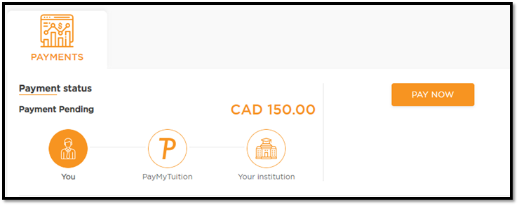 Payment page, displaying orange "Pay Now" button.