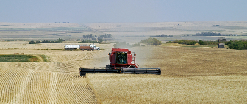 Agriculture and Food Production