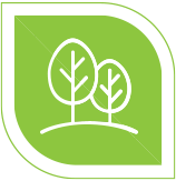 White outline of two trees on a green background that represents life