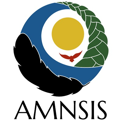 AMNSIS logo